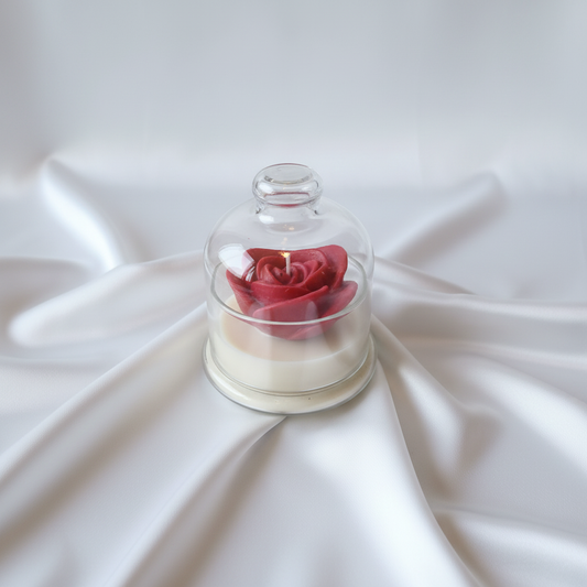 Rose in a Jar - Top View